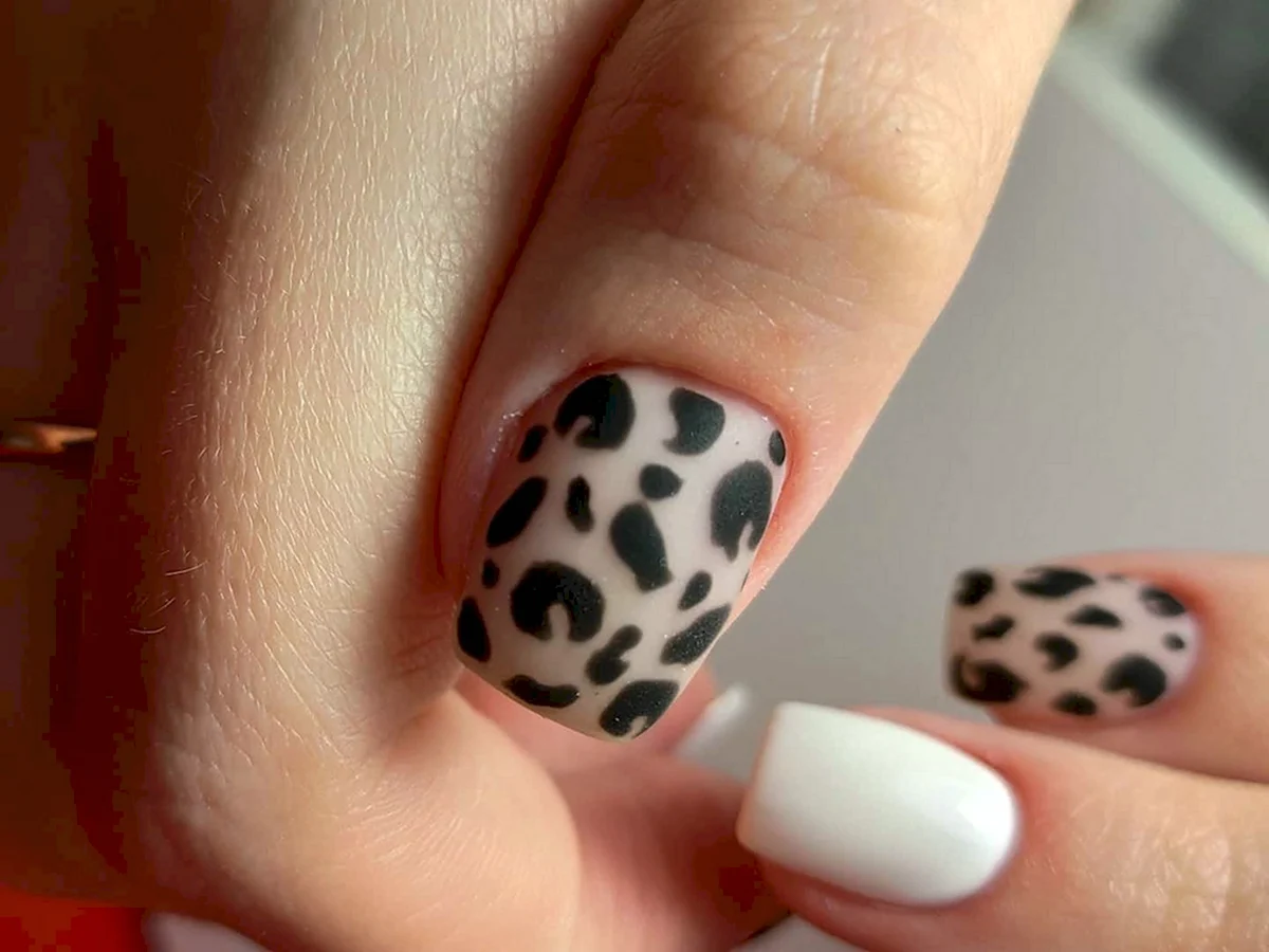 Леопард дотсом