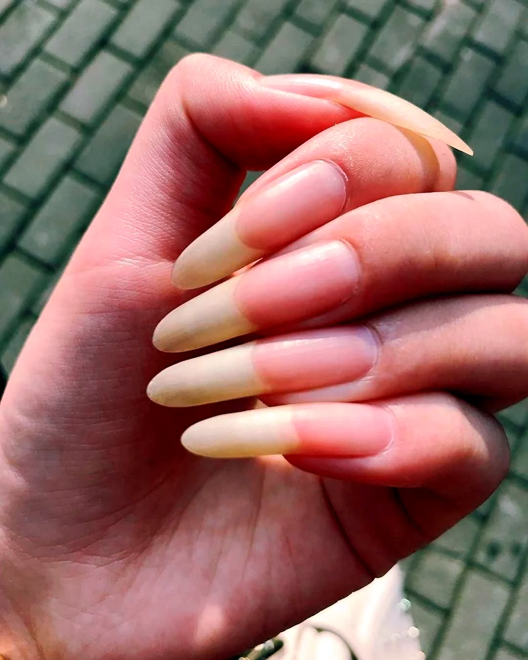 Длинные натуральные ногти