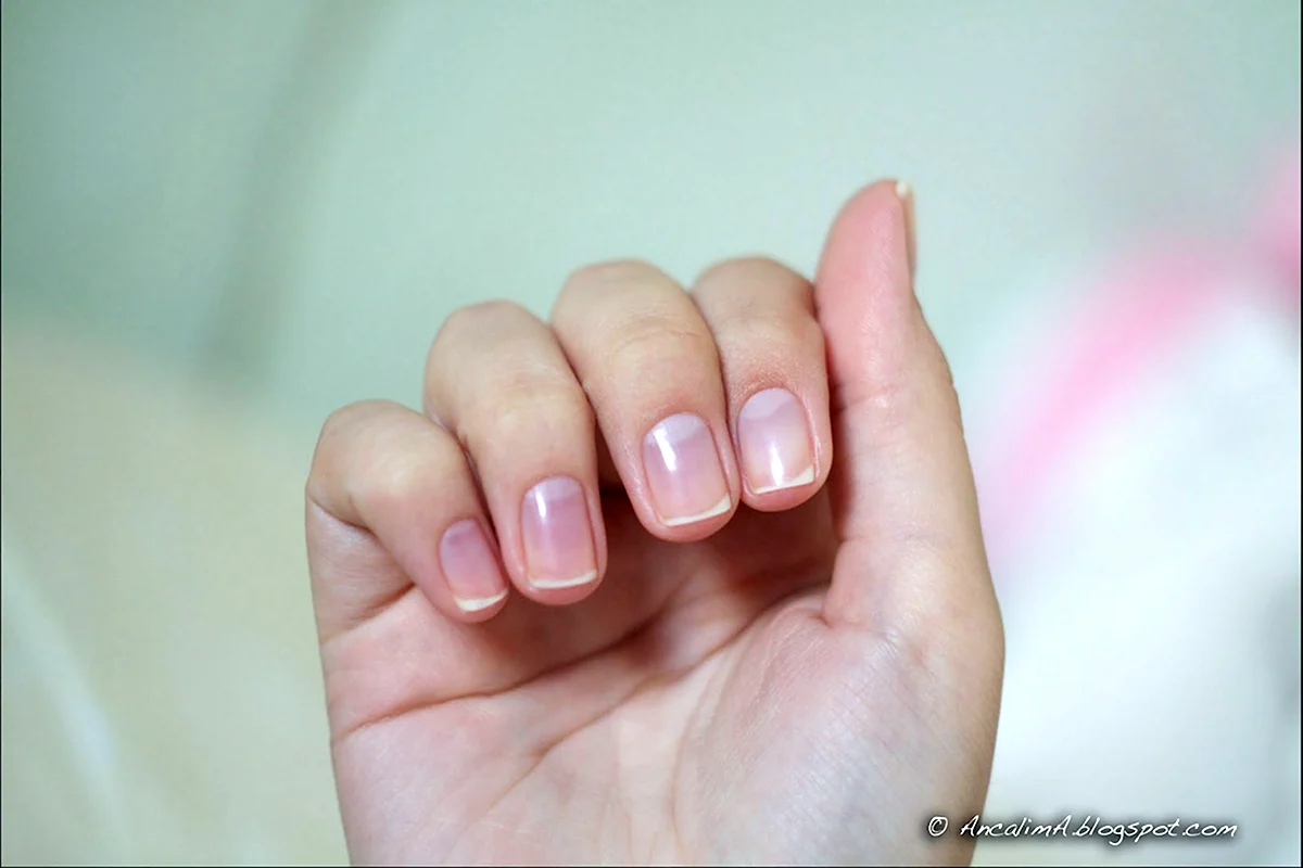 Квадратные короткие ногти без лака