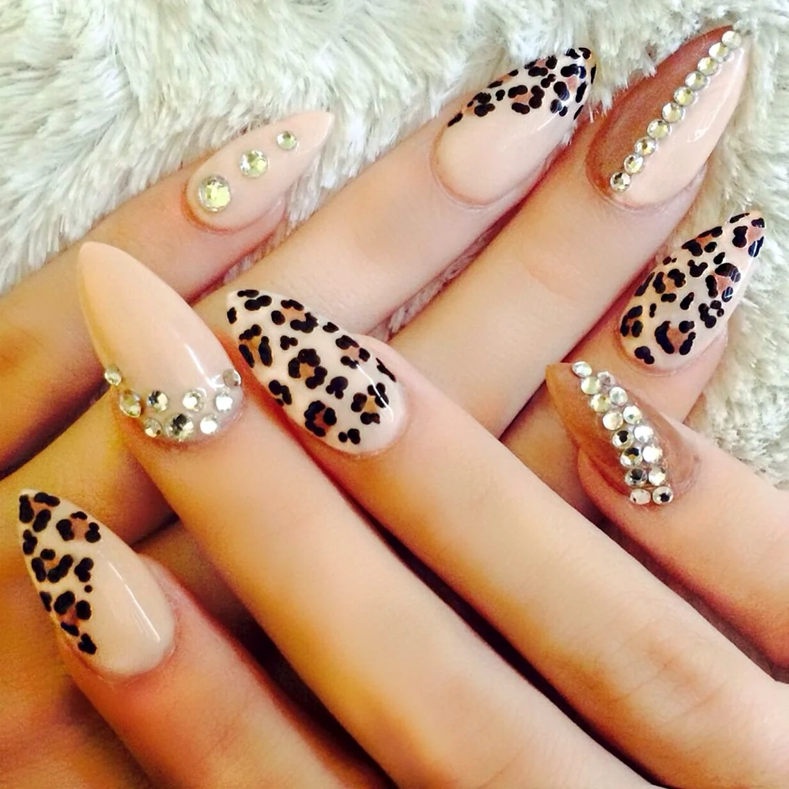 Френч леопардовый 2022