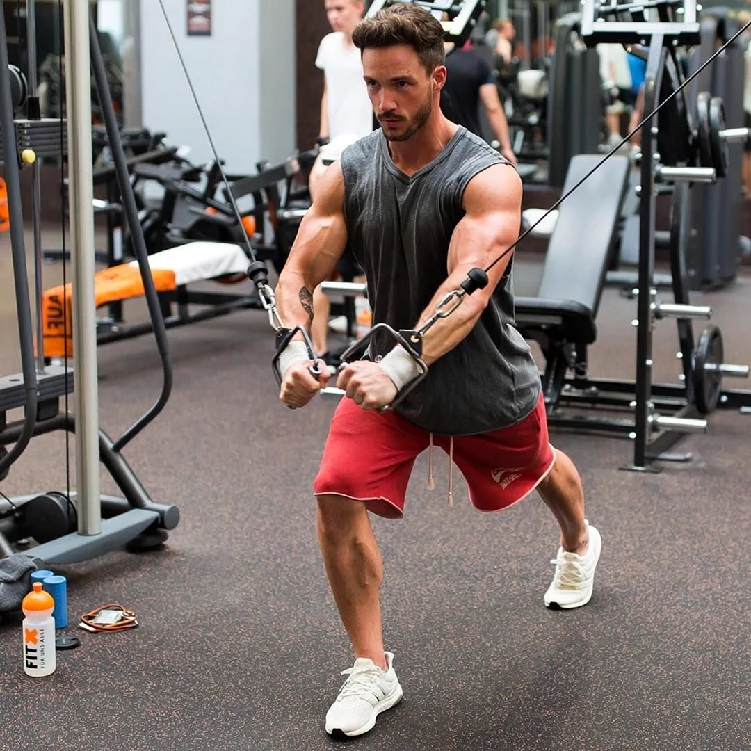 Лук для спортзала