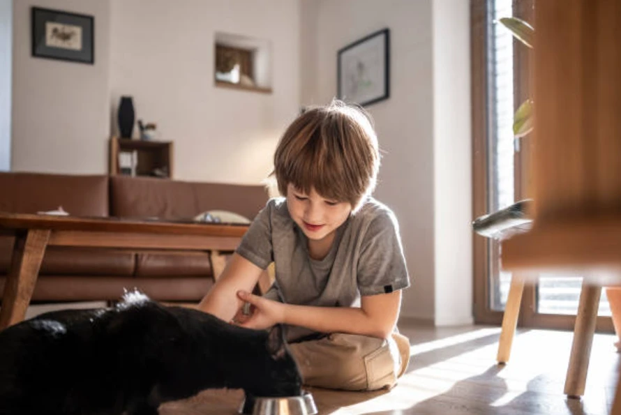 Как понять, что питомцу нужен специальный рацион