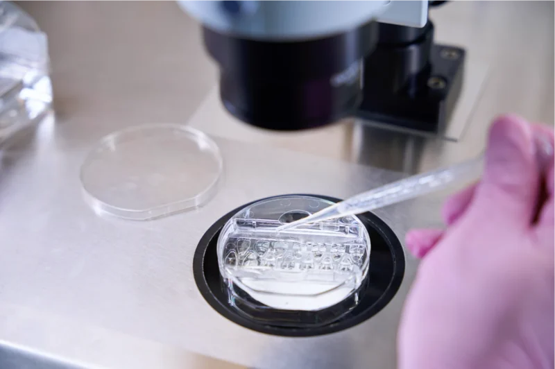 ЭКО: торжество технологий