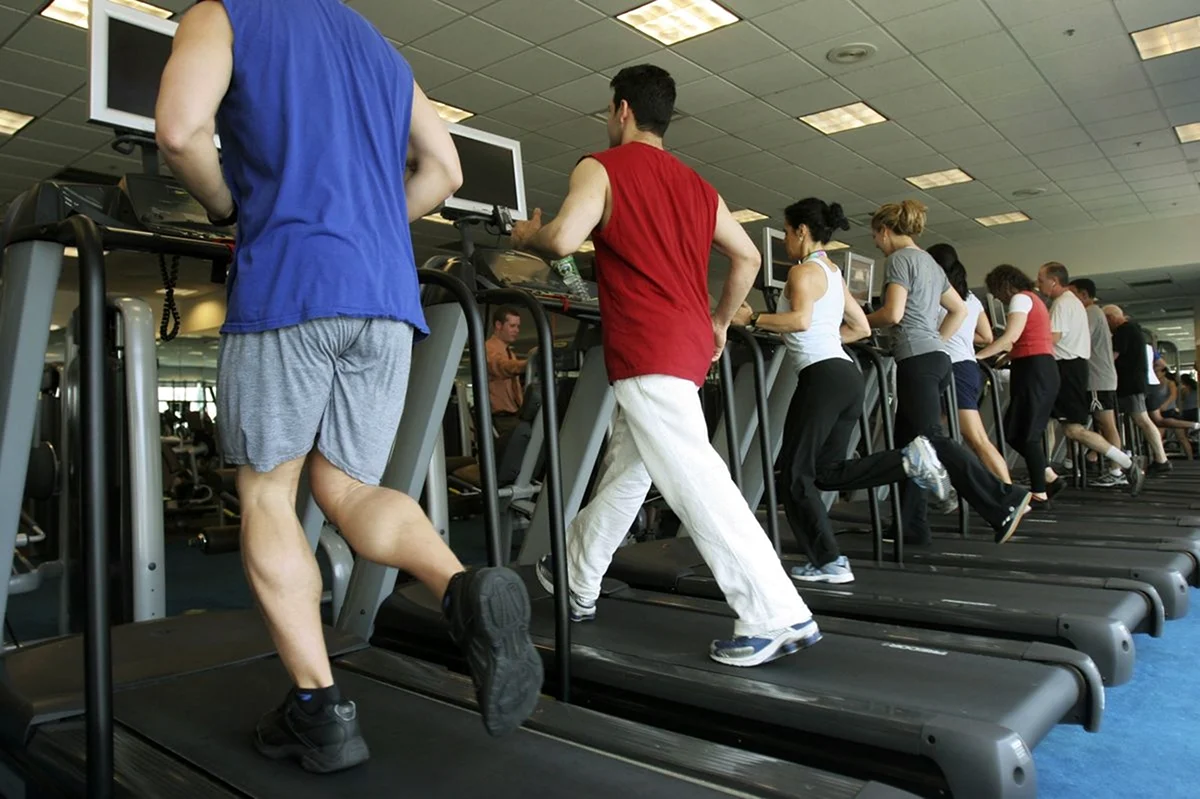 В чем ходить в тренажерный зал