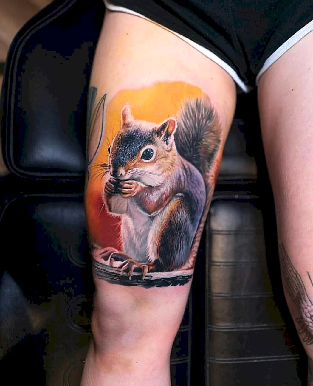 Тату белка