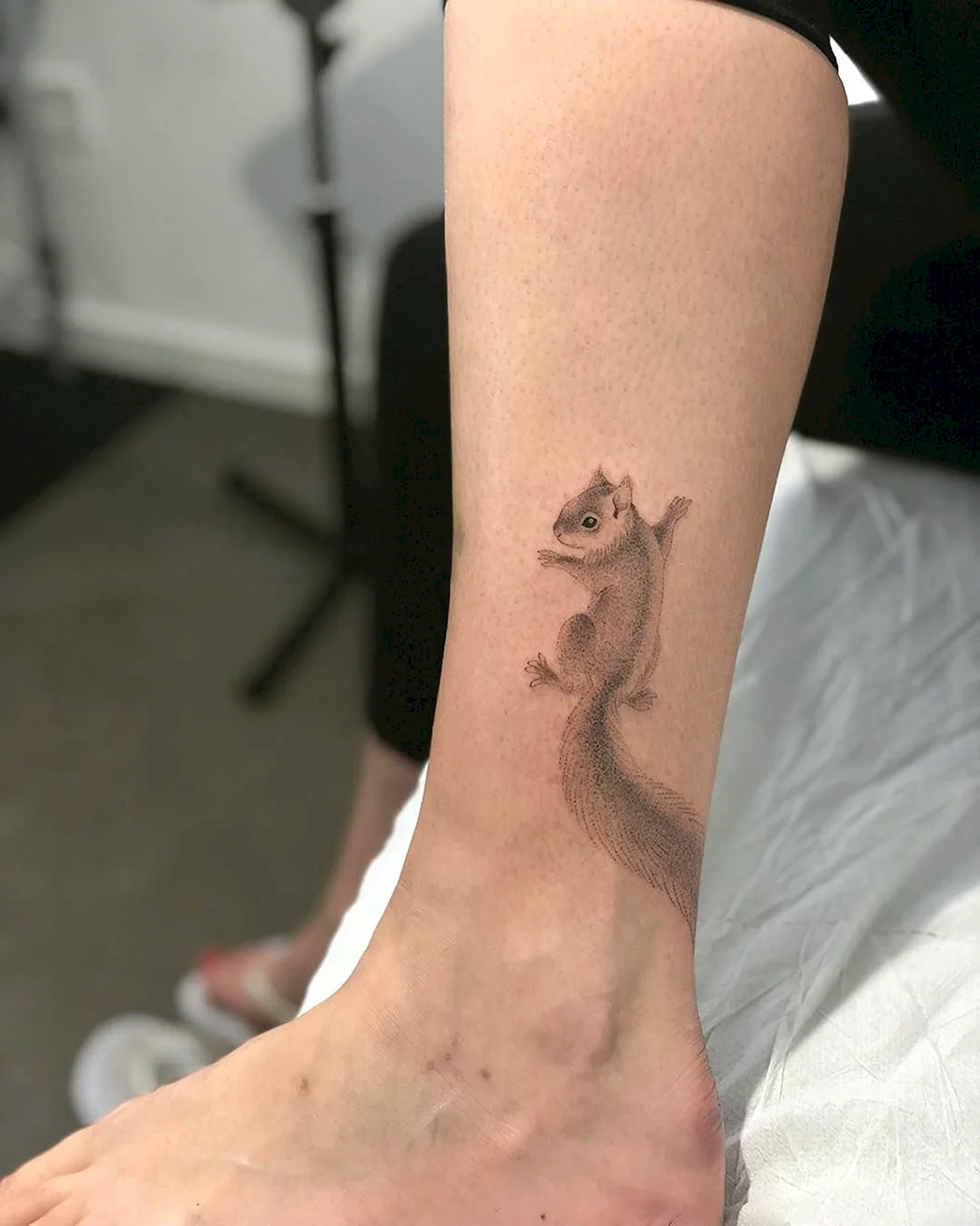 Тату белка