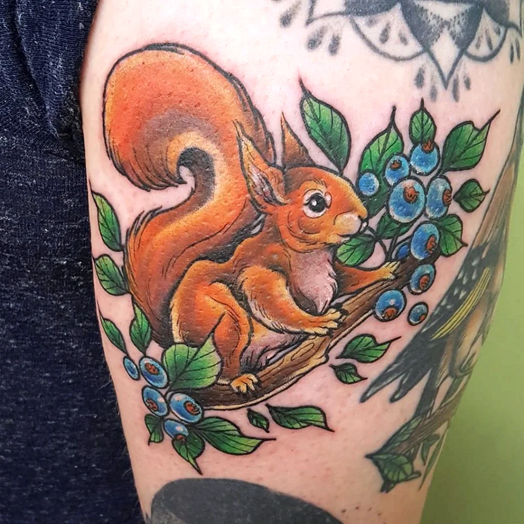 Тату белка