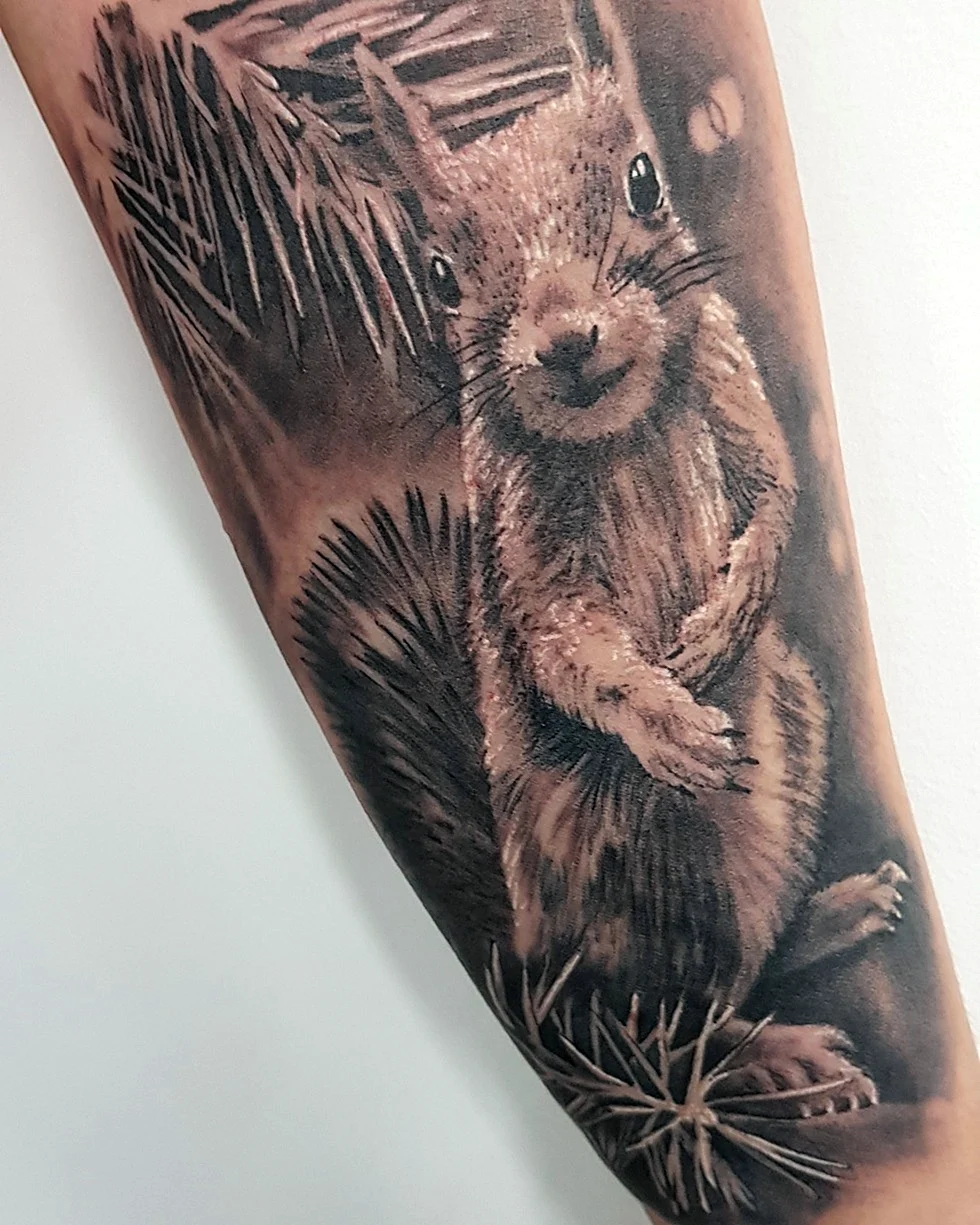 Белка реализм