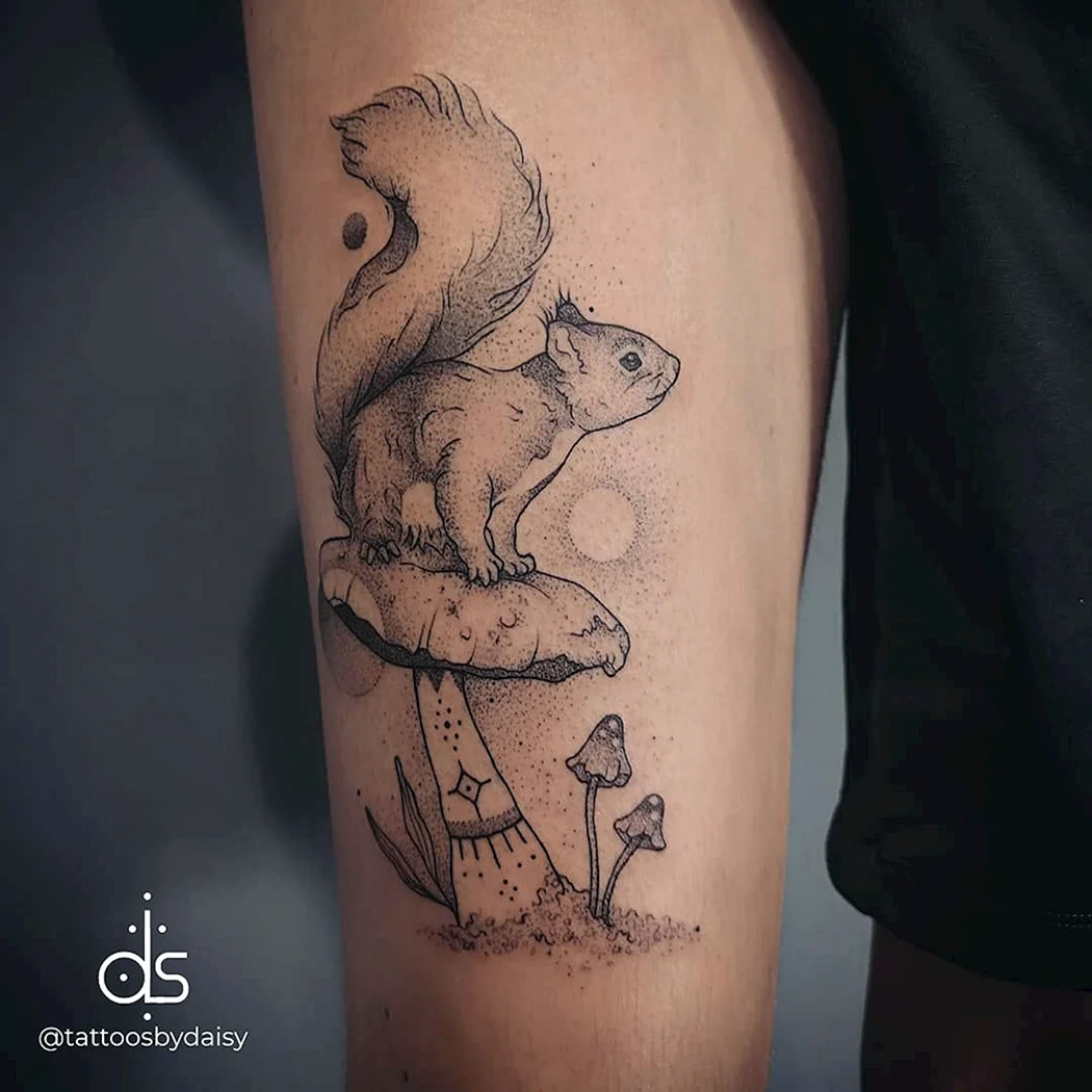 Тату белки контурное