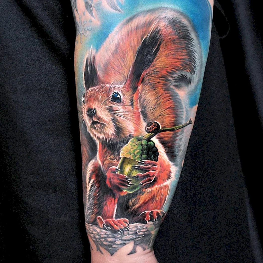 Тату белка