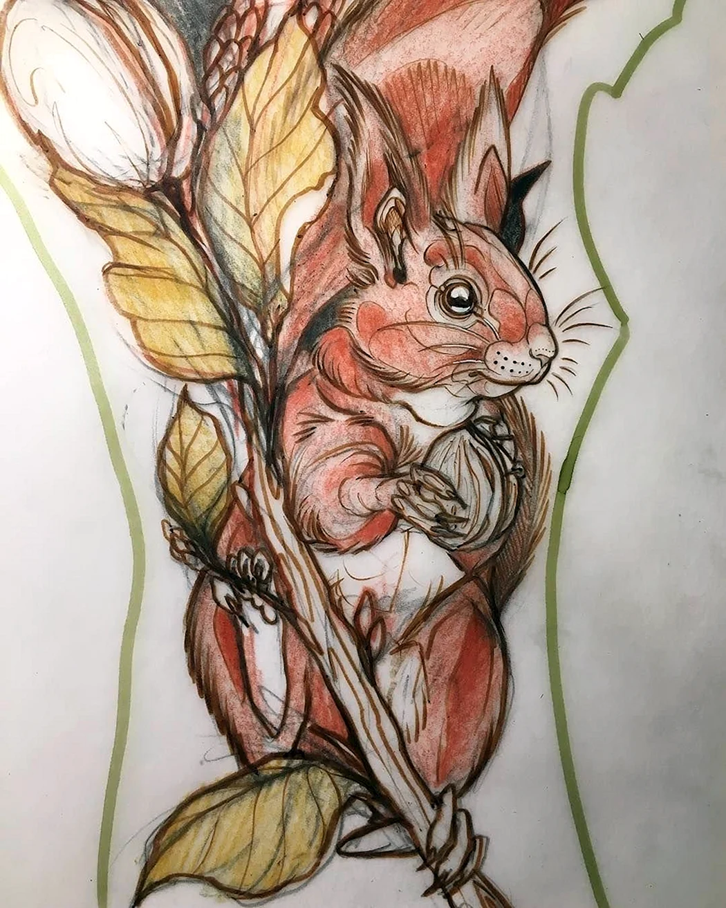 Тату белка