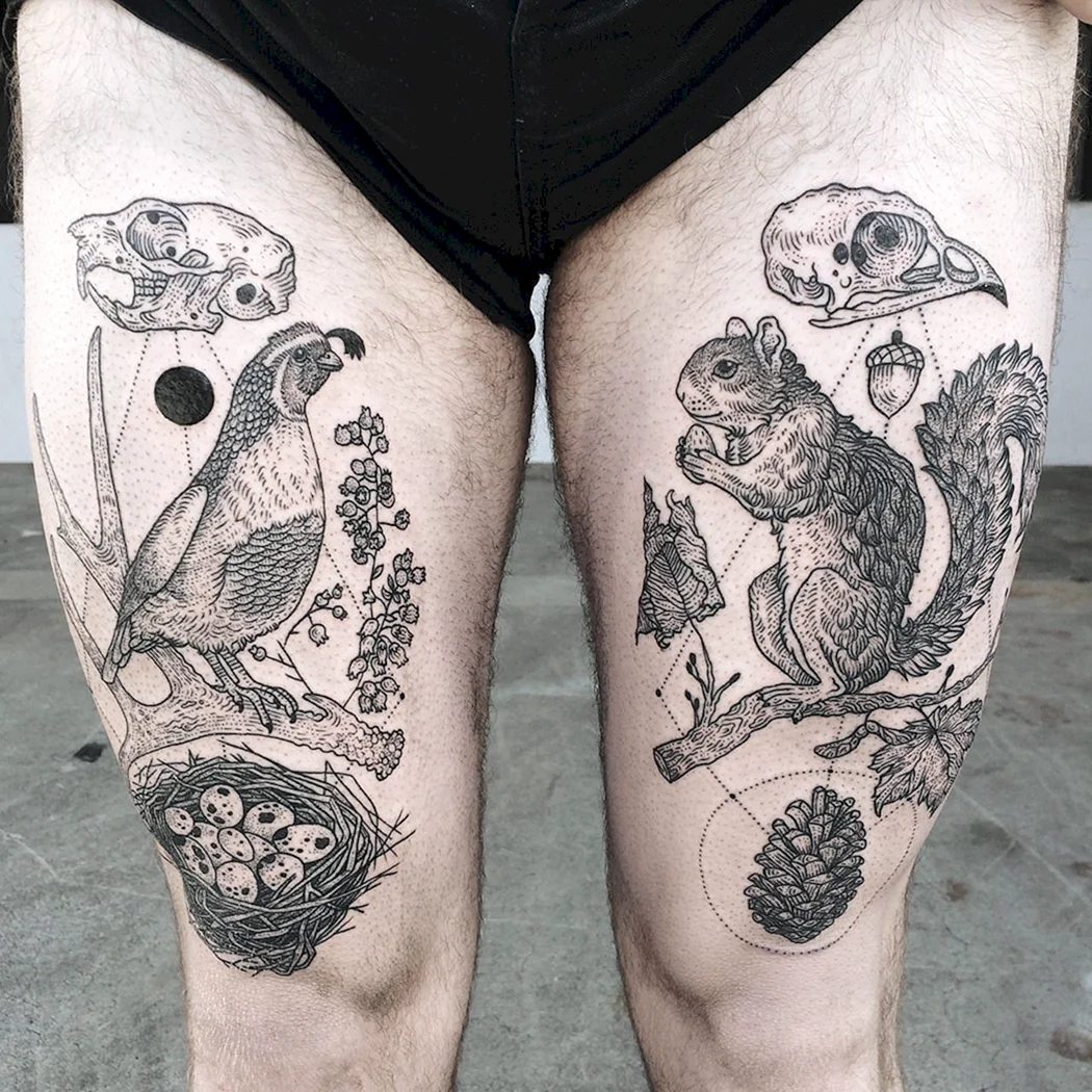 Тату белки мужчин