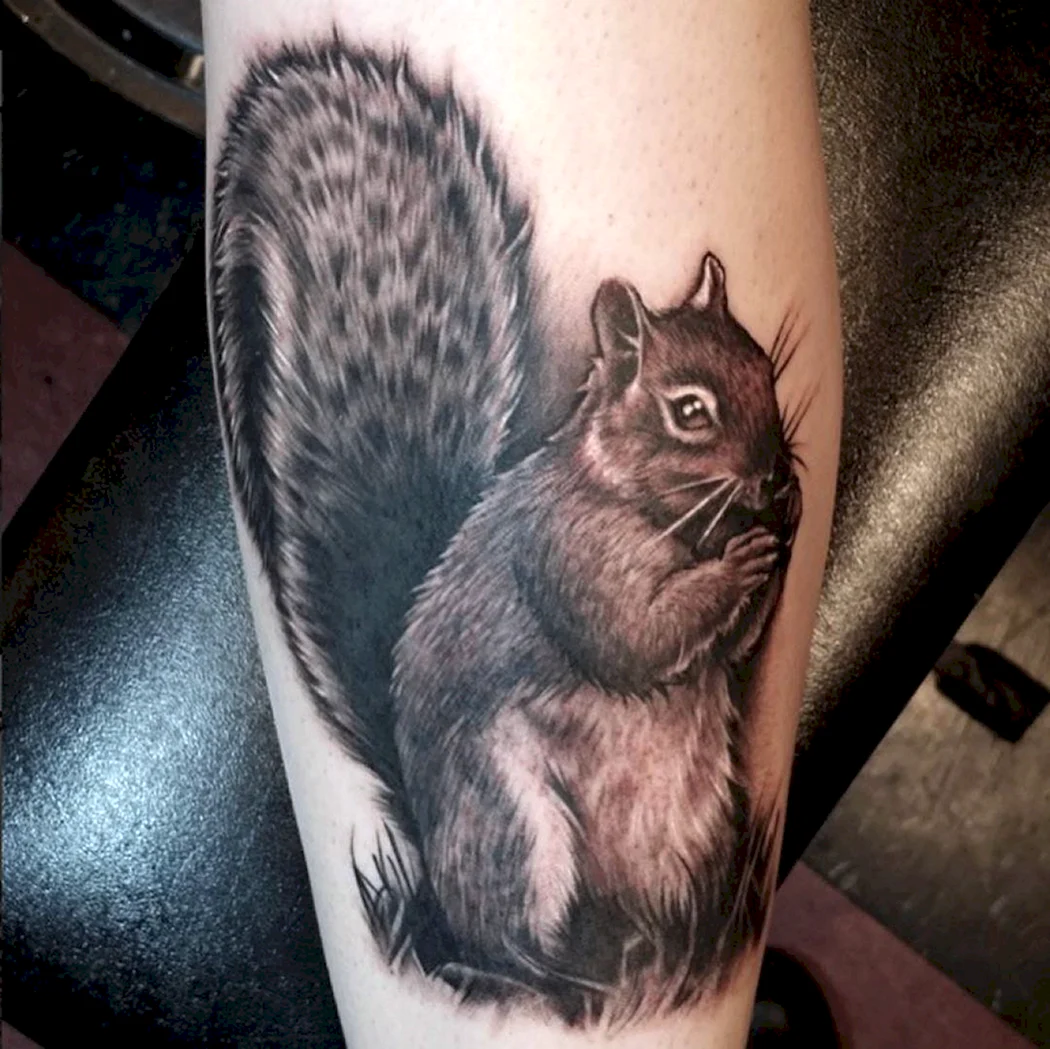 Тату бурундук