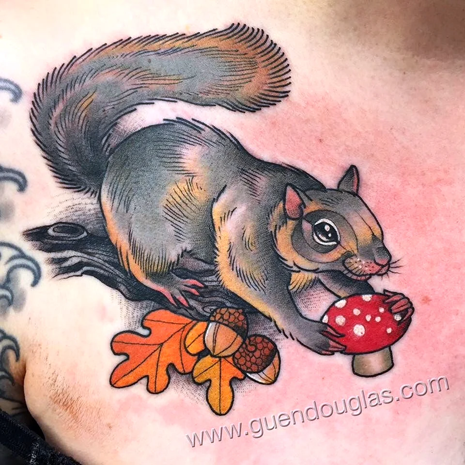 Белка неотрад