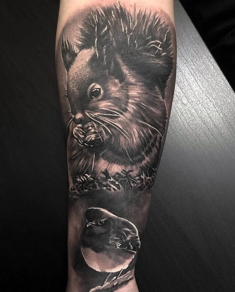 Тату белка реализм